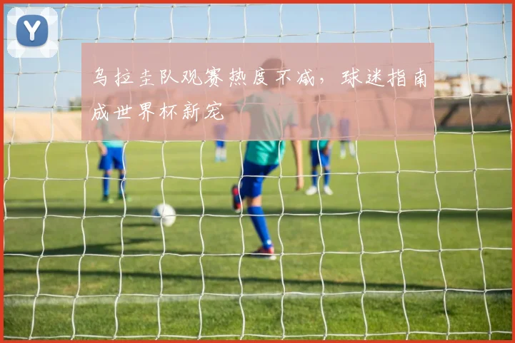 乌拉圭队观赛热度不减，球迷指南成世界杯新宠
