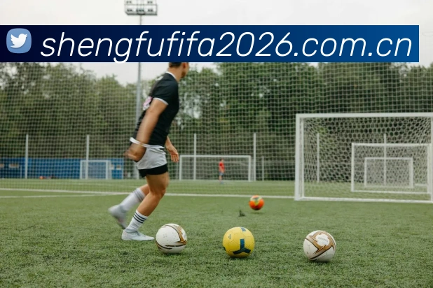 2026世界杯 App 界面展示